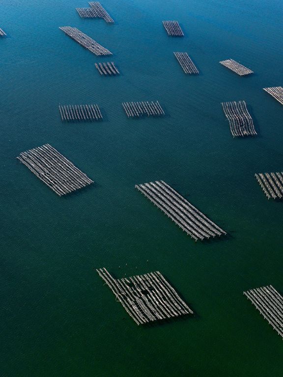 Οι Μυδοκαλλιέργειες